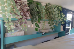 Plants make it cozy