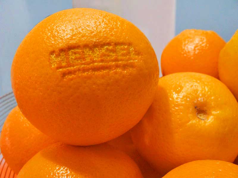 Orangen für die Messe